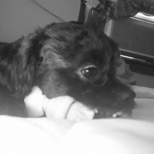 Meet your Posher, Erika